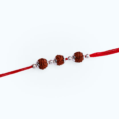 Three Bead Rudraksha Rakhi